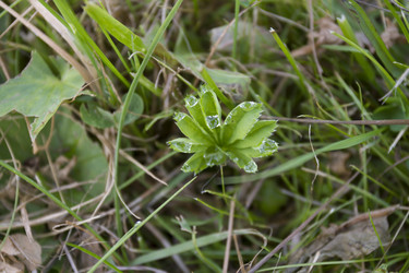 Similar image 5563463