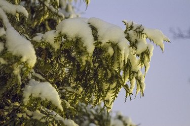 Similar image 5563468