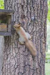 Similar image 5563471