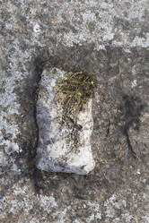 Similar image 5563474