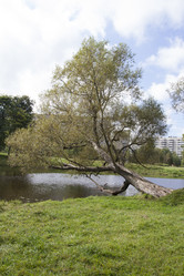 Similar image 5563475