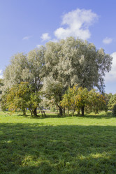 Similar image 5563476