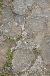 Similar image 5563478