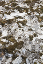 Similar image 5563480