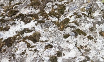 Similar image 5563481