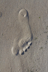 Similar image 5563483