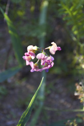 Similar image 5563484