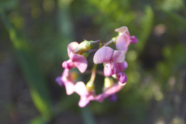 Similar image 5563495