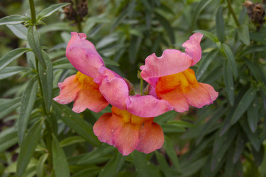 Similar image 5563497