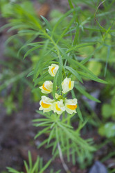 Similar image 5563498