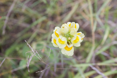 Similar image 5563509