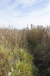 Similar image 5563519