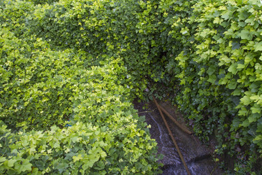 Similar image 5563523