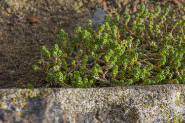 Similar image 5563541