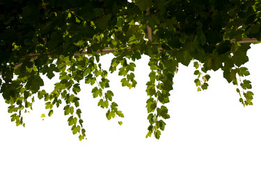 Similar image 5563544