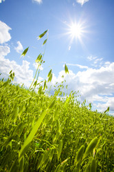 Similar image 5563552