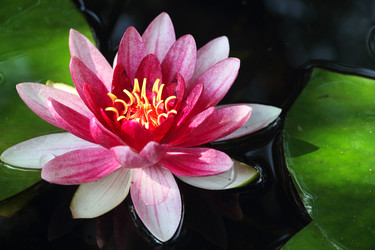 Similar image 5563563