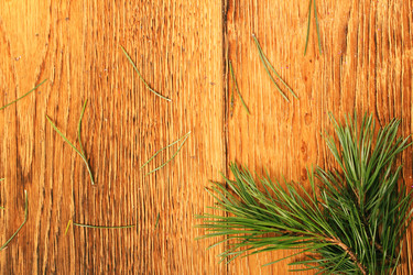 Similar image 5563570