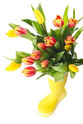 Similar image 5563578