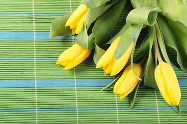 Similar image 5563579