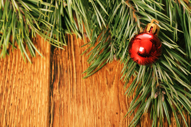 Similar image 5563584