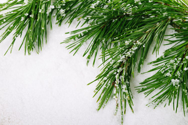 Similar image 5563585