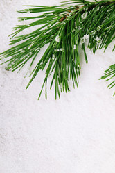 Similar image 5563586