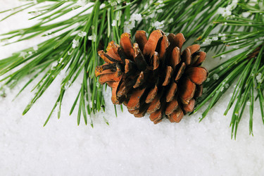 Similar image 5563587