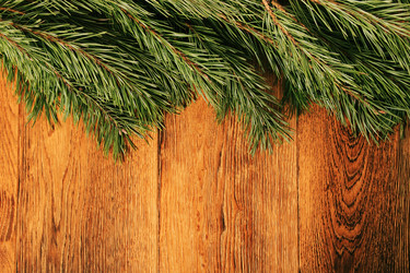 Similar image 5563591