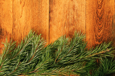 Similar image 5563592