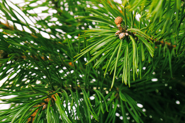 Similar image 5563599