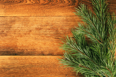 Similar image 5563600