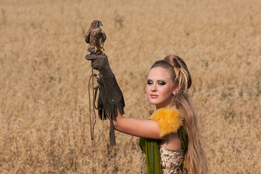 Similar image 5563627