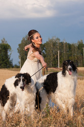 Similar image 5563636