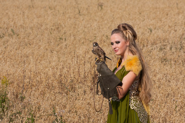 Similar image 5563646