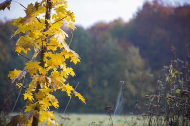 Similar image 5563741