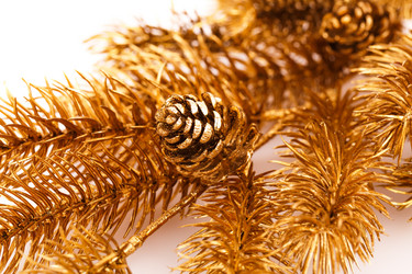 Similar image 5563821