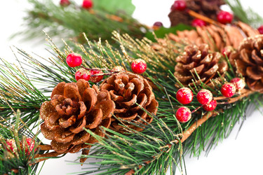 Similar image 5563824