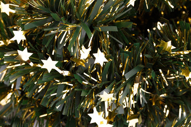 Similar image 5563826