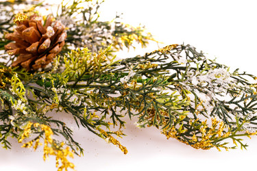 Similar image 5563827