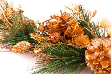 Similar image 5563829