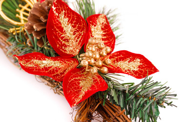 Similar image 5563843