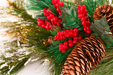 Similar image 5563844