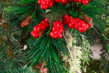 Similar image 5563845