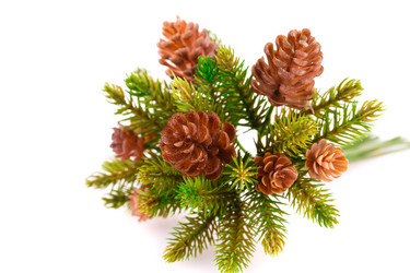 Similar image 5563847