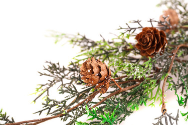 Similar image 5563848