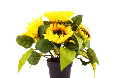 Similar image 5563863