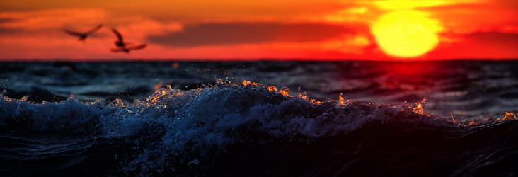 Similar image 5563965