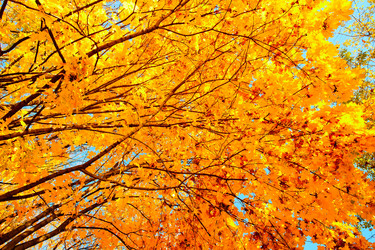 Similar image 5564235