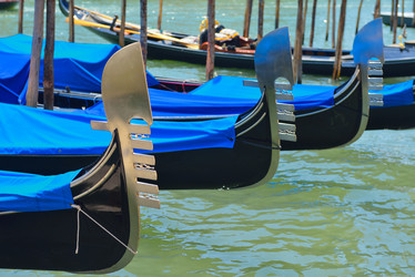 Similar image 5564679